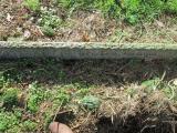 image of grave number 379611